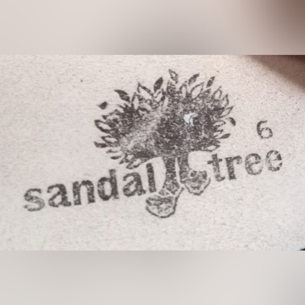 Sandal Tree - Picture 5 of 5